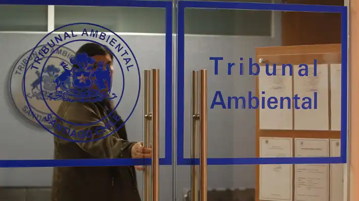 Preocupaciones por la Falta de Jueces en Tribunales Ambientales de Chile