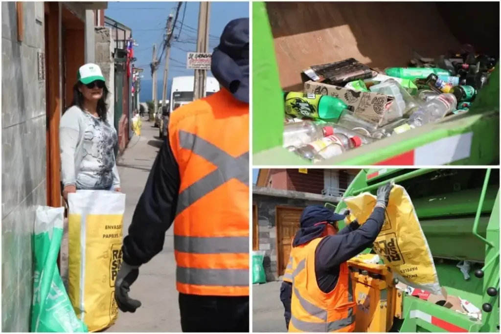 Antofagasta da un gran paso hacia el reciclaje domiciliario