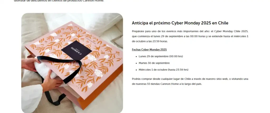 Preparativos para el Cyber Monday Chile 2025: Ofertas y Consejos de Seguridad