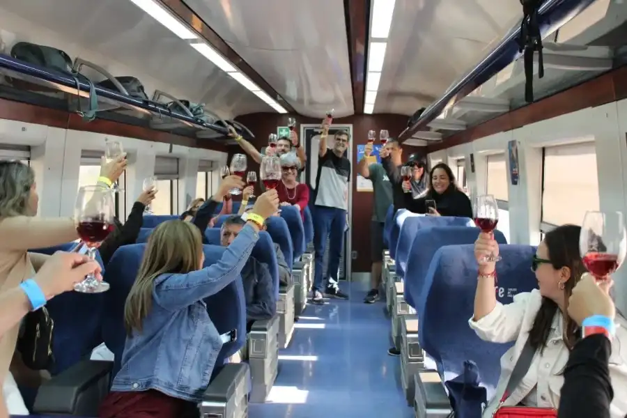 Descubre el Tren Turístico ‘Sabores del Maule’: Un Viaje Gastronómico y Vitivinícola