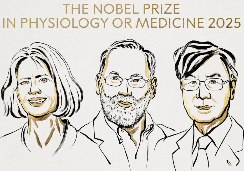 Premio Nobel de Medicina 2025: Avances en la Comprensión del Sistema Inmunitario
