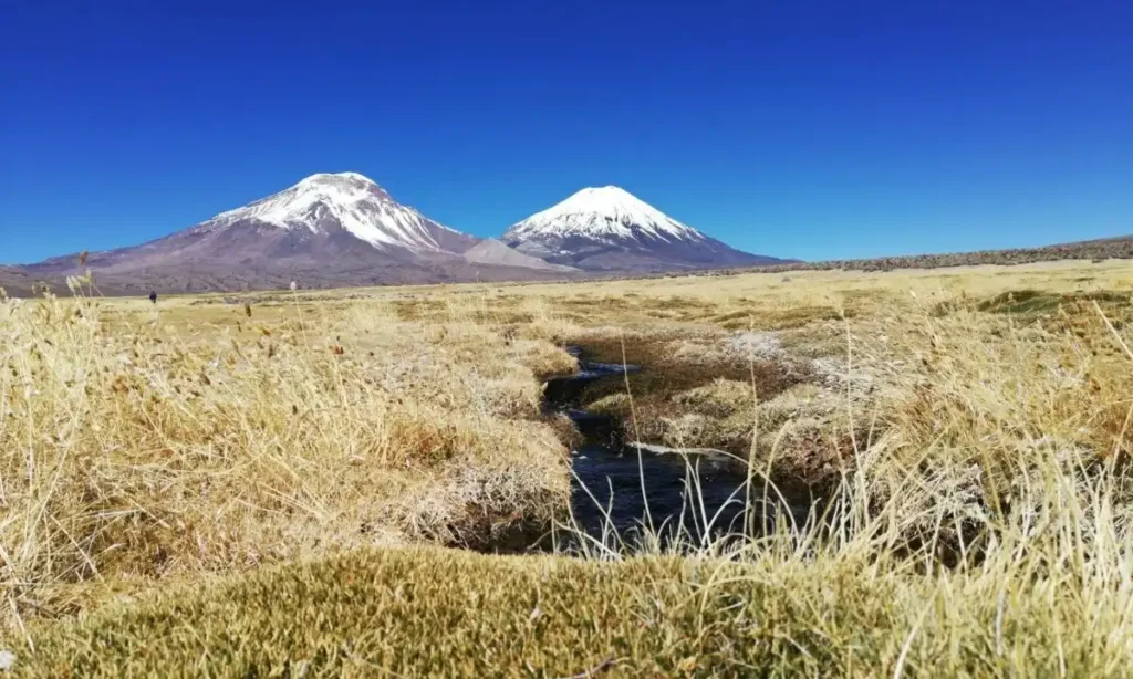 Controversias en la Consulta Pública sobre Sitios Prioritarios para la Biodiversidad en Chile
