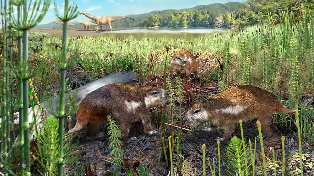 Descubrimiento Paleontológico en Magallanes: El Mamífero Más Antiguo del Sur de Chile