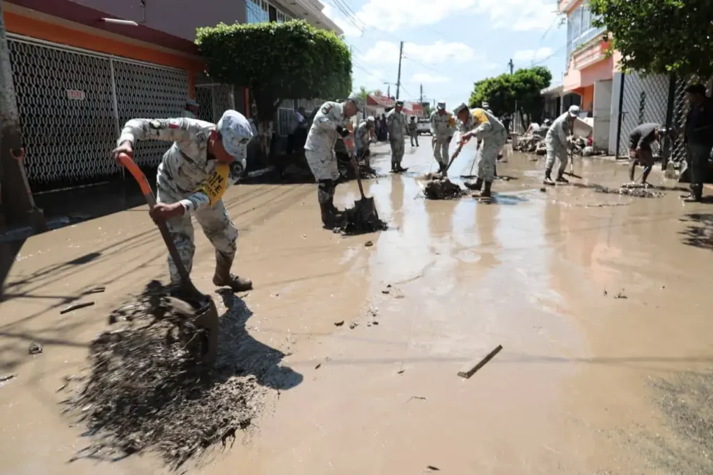 Avances en la Recuperación Tras las Lluvias en Veracruz: Un Esfuerzo Colectivo