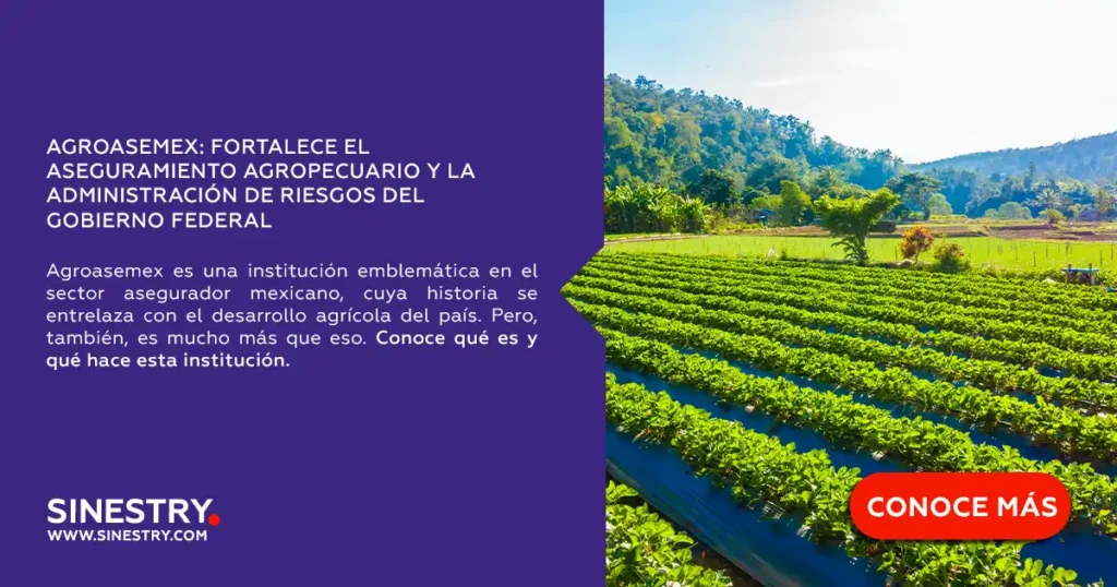 Agroasemex: La Aseguradora del Estado que Responde a Emergencias Naturales