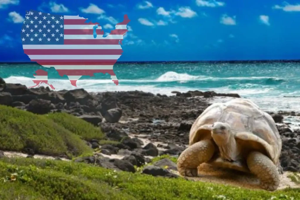 La Propuesta de Bases Extranjeras en Galápagos: Un Debate Controversial