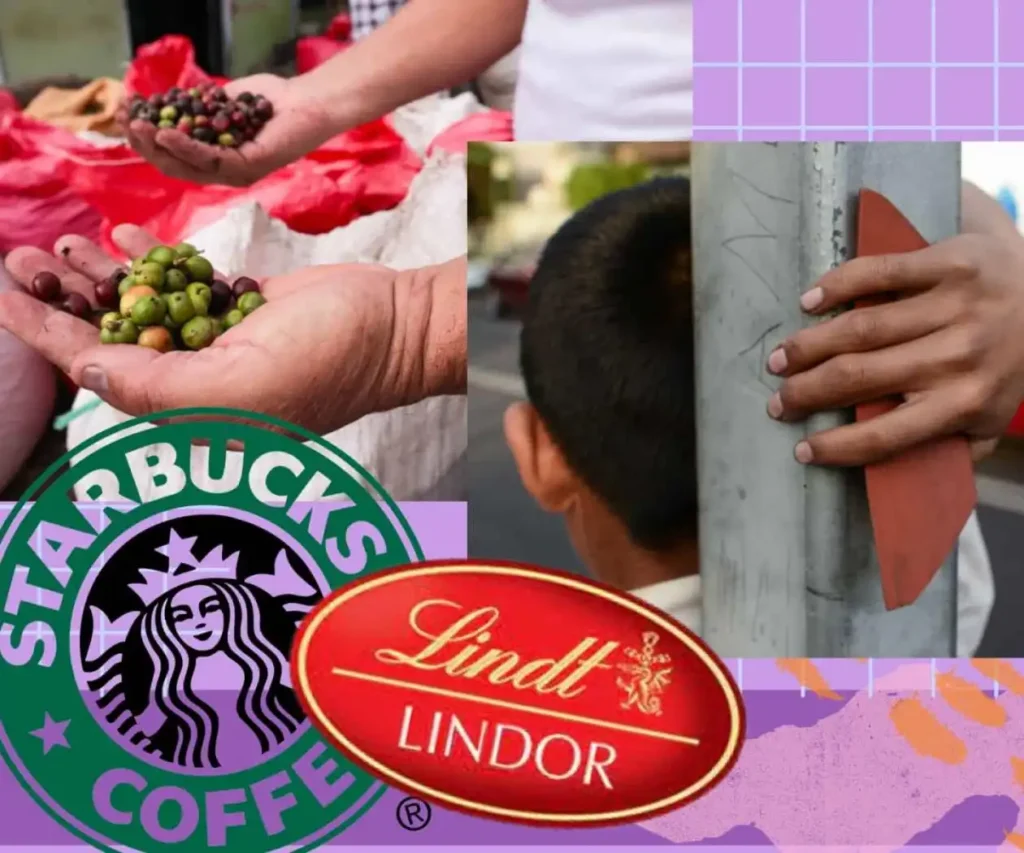 Starbucks y su Compromiso con la Alimentación Infantil en México