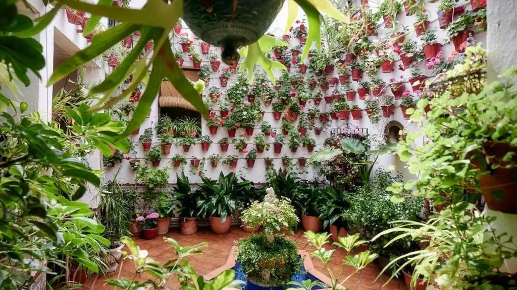 Córdoba: Un Destino Enológico que Sorprende con su Variedad y Belleza Natural