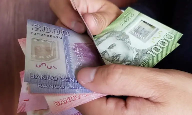 Todo lo que necesitas saber sobre el Bono Base Familiar en Chile