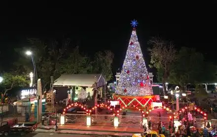 Guayaquil: Un vistazo a las últimas novedades y eventos