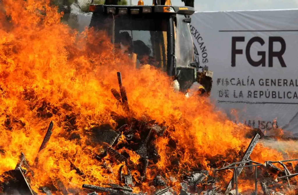 Destrucción de Narcóticos en Sinaloa: Un Paso Hacia la Lucha Contra el Crimen Organizado