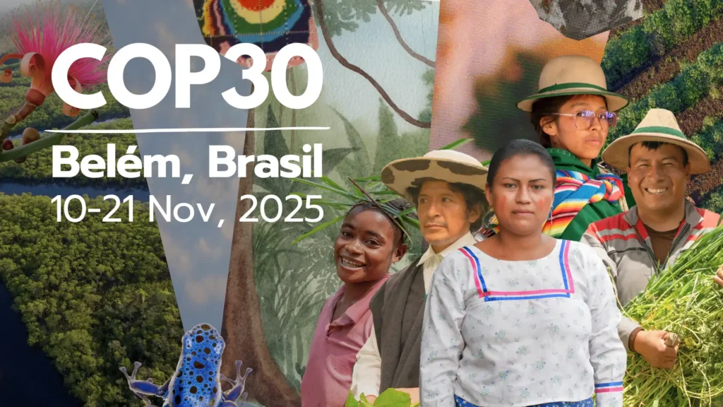 Liderazgo Global en la Lucha Contra el Cambio Climático: La COP30 y el Llamado de la ONU