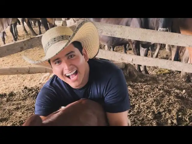 Alejandro Gavilánez: La búsqueda de una familia en medio de la adversidad