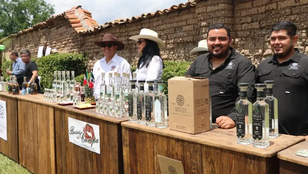Explorando la Nueva Ruta del Tequila y Raicilla en Jalisco: Un Viaje Sensorial