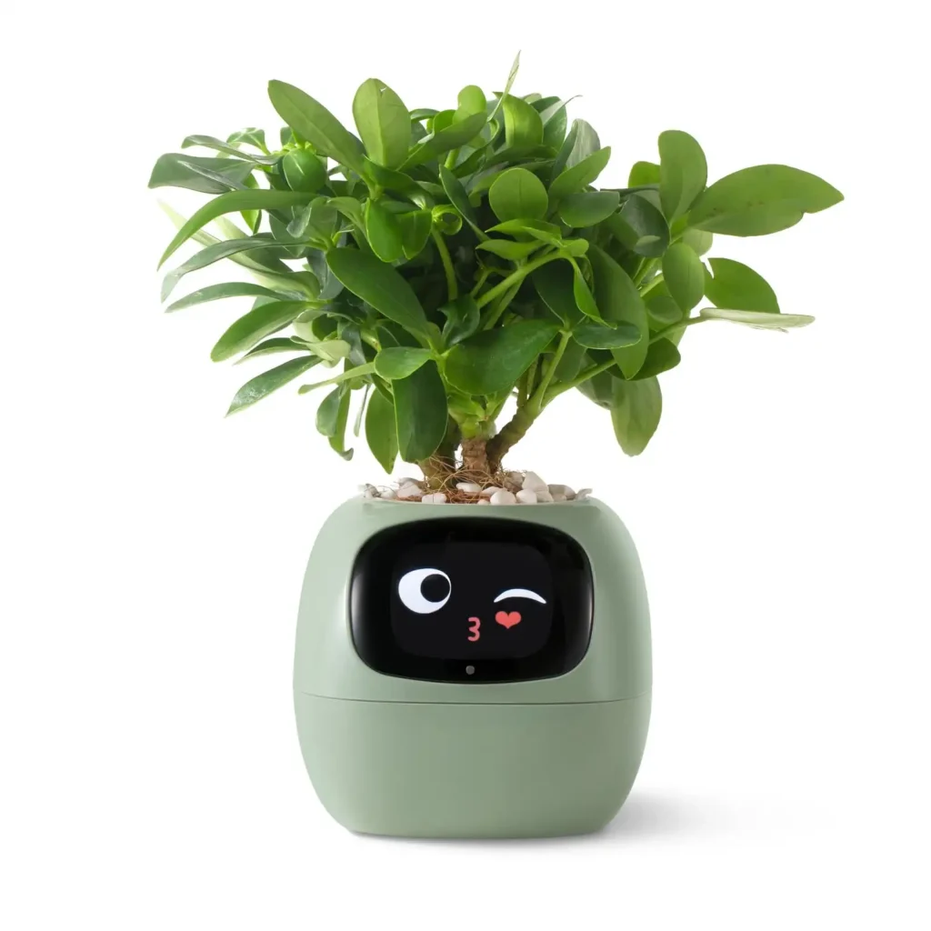 Innovación en el Cuidado de Plantas: La Maceta que Expresa Emociones