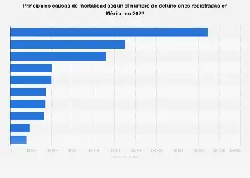 Análisis de las Principales Causas de Mortalidad en México: Un Informe del INEGI