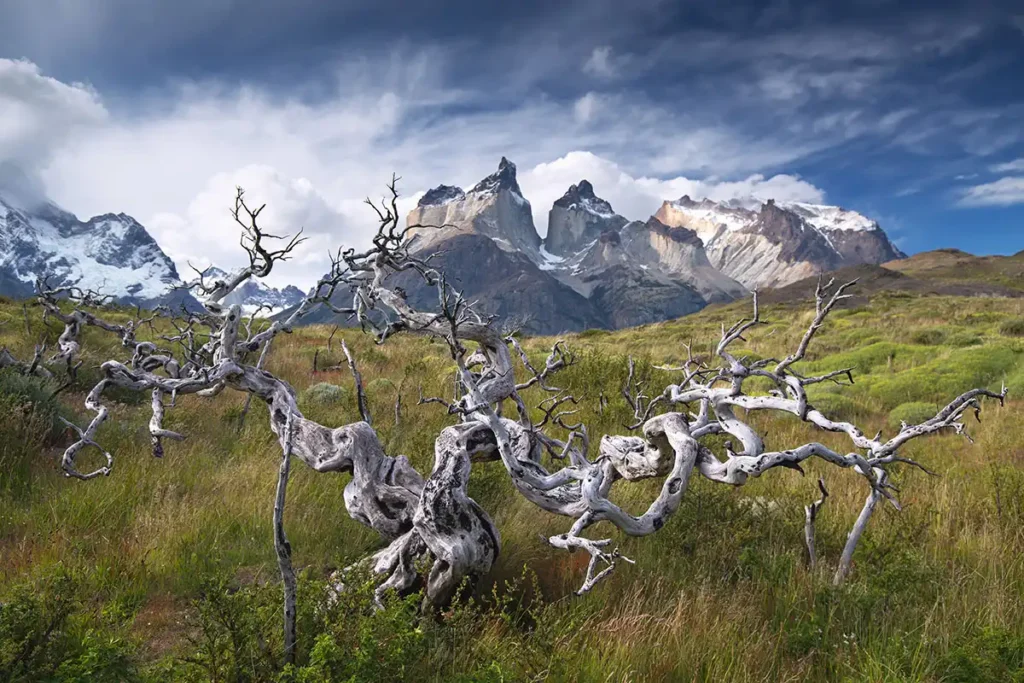 Desapariciones en Torres del Paine: Un Llamado a la Precaución en la Naturaleza