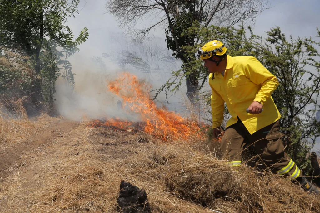 Incendios Forestales en Chile: Situación Actual y Respuesta de Emergencia