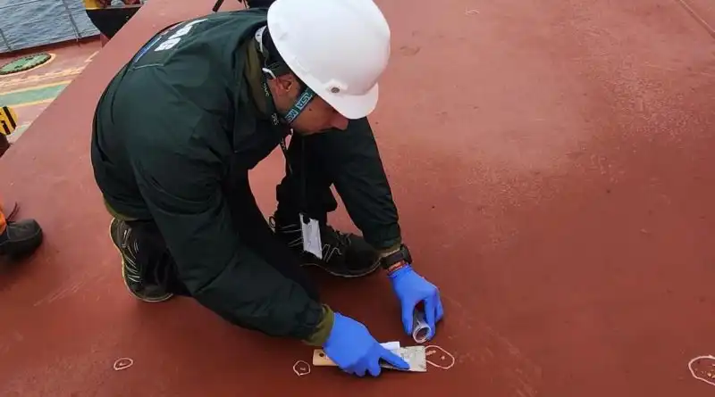 Alerta Fitosanitaria: Detección de Plaga en Buque en Arica