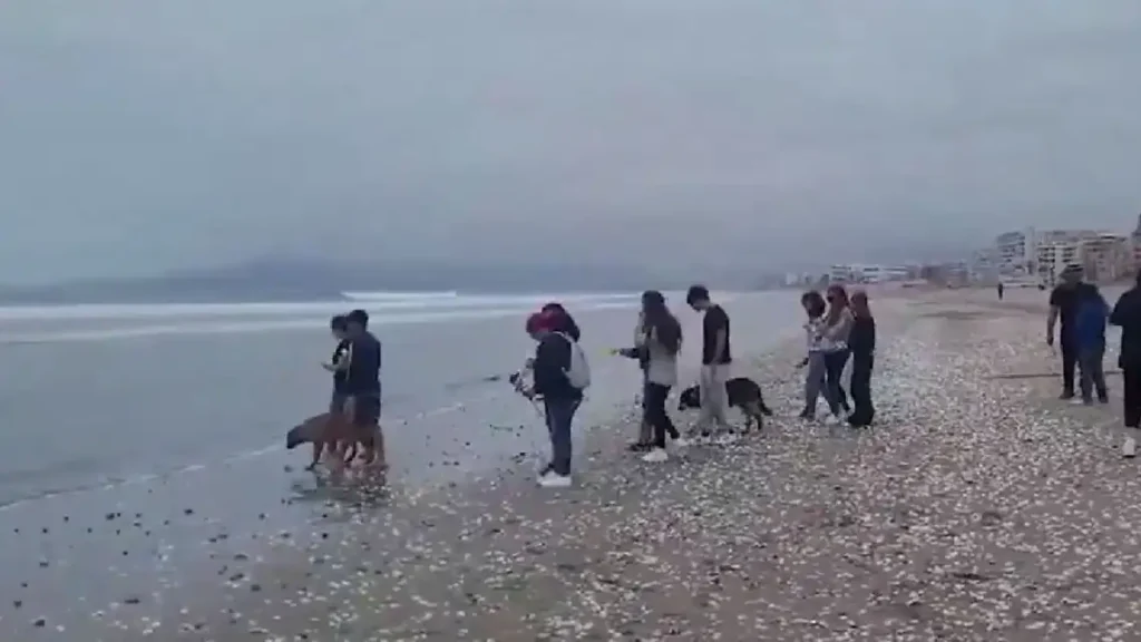 Tragedia en La Serena: Encuentran Cuerpo de Adolescente Argentino Desaparecido