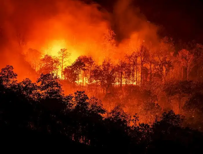 El Impacto de los Incendios y las Altas Temperaturas en Chile