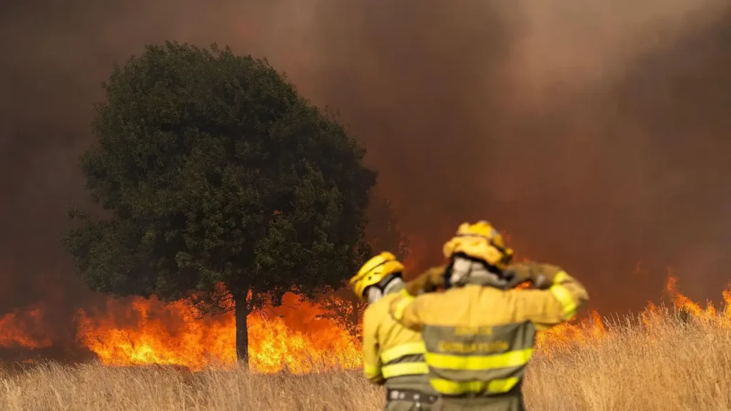 Incendio en El Bosque: Emergencia y Respuesta de Bomberos