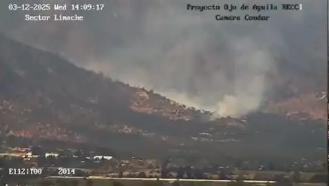Alerta Roja en Olmué: Incendio Forestal Amenaza Comunidades