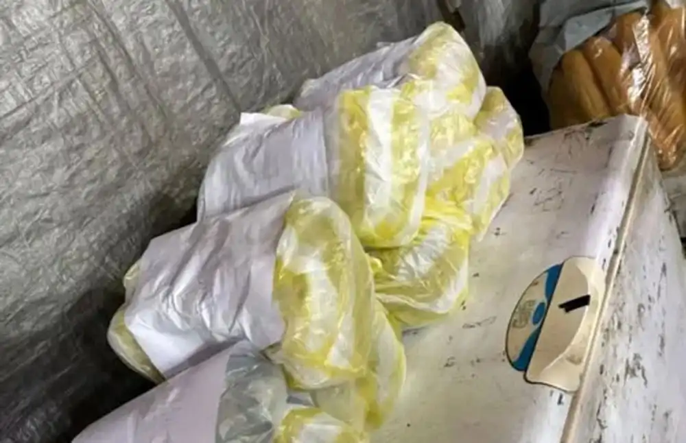 Escándalo Alimentario: Milanesas de Papel Higiénico en Fiestas Patronales de Argentina