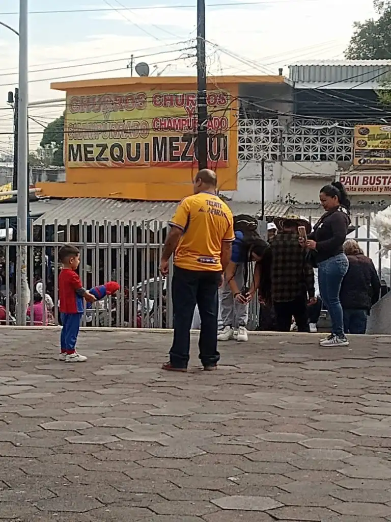 El Apoyo Incondicional de la Afición de Tigres en la Final del Apertura 2025