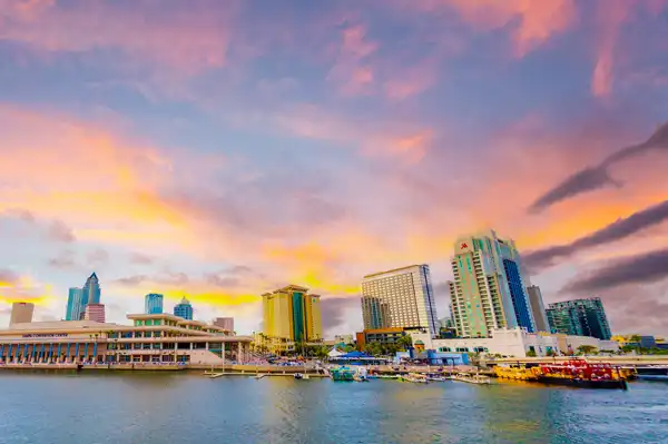 Tampa Bay: Un Paraíso de Lujo y Experiencias Únicas en Florida
