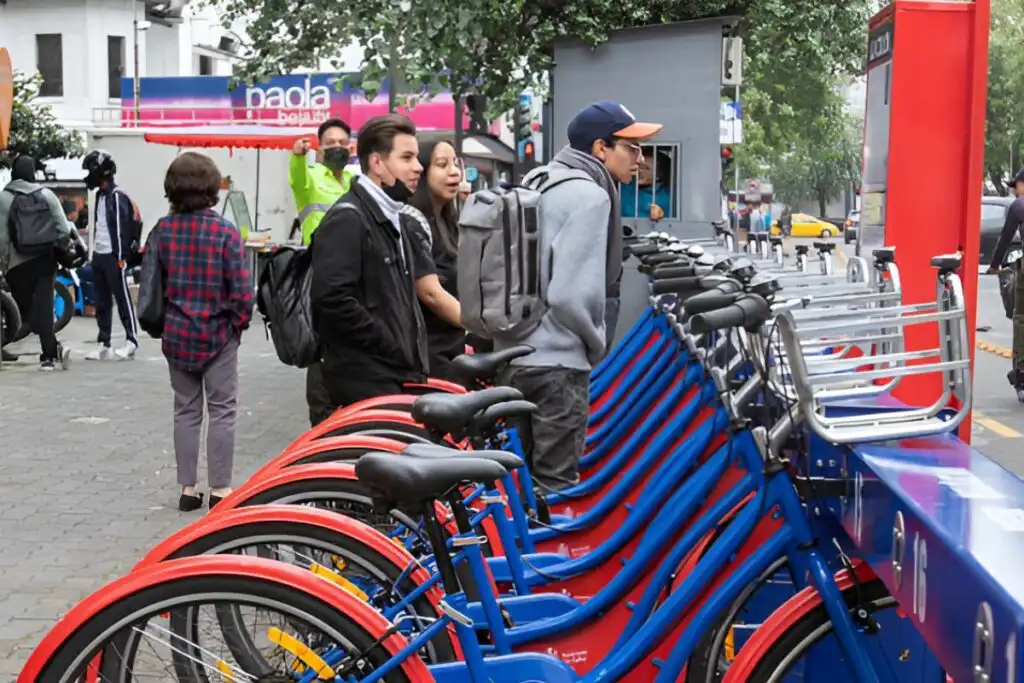 El Mercado de Bicicletas en Ecuador: Oportunidades y Desafíos en la Temporada Navideña