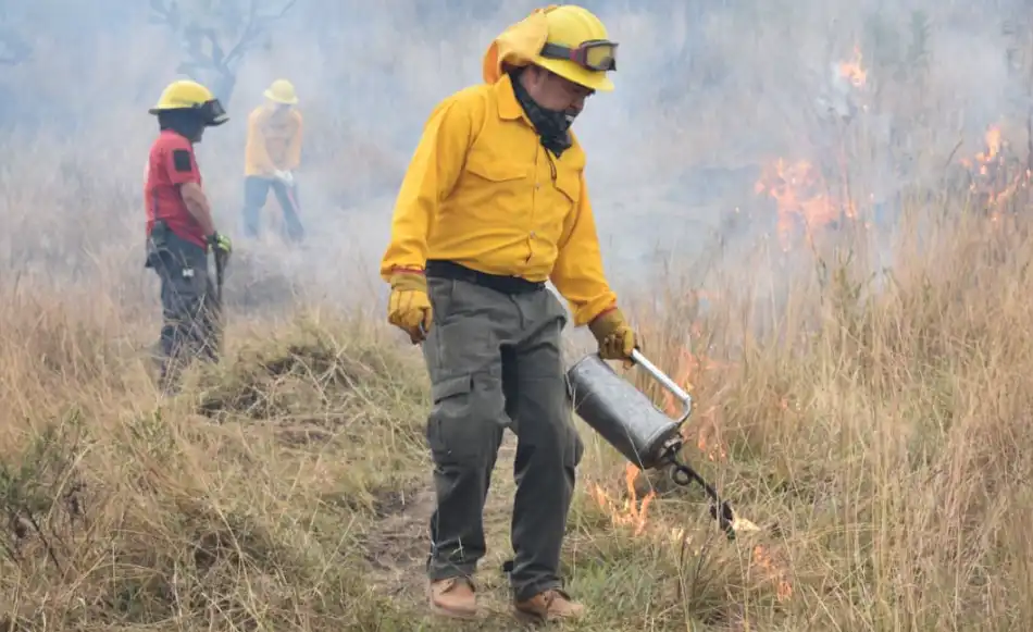 Incendios Forestales en San Pedro: Emergencia y Evacuaciones en Curso