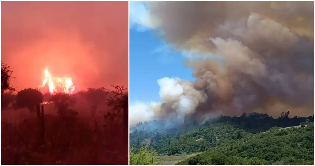 Incendio Forestal en Santo Domingo: Detención y Consecuencias