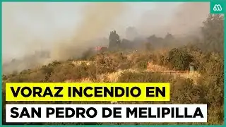 Incendios Forestales en Chile: La Emergencia que Afecta a San Pedro de Melipilla