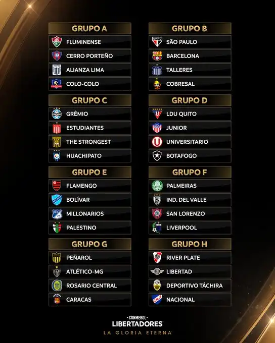 Rivales Definidos para los Equipos Chilenos en Copas Internacionales