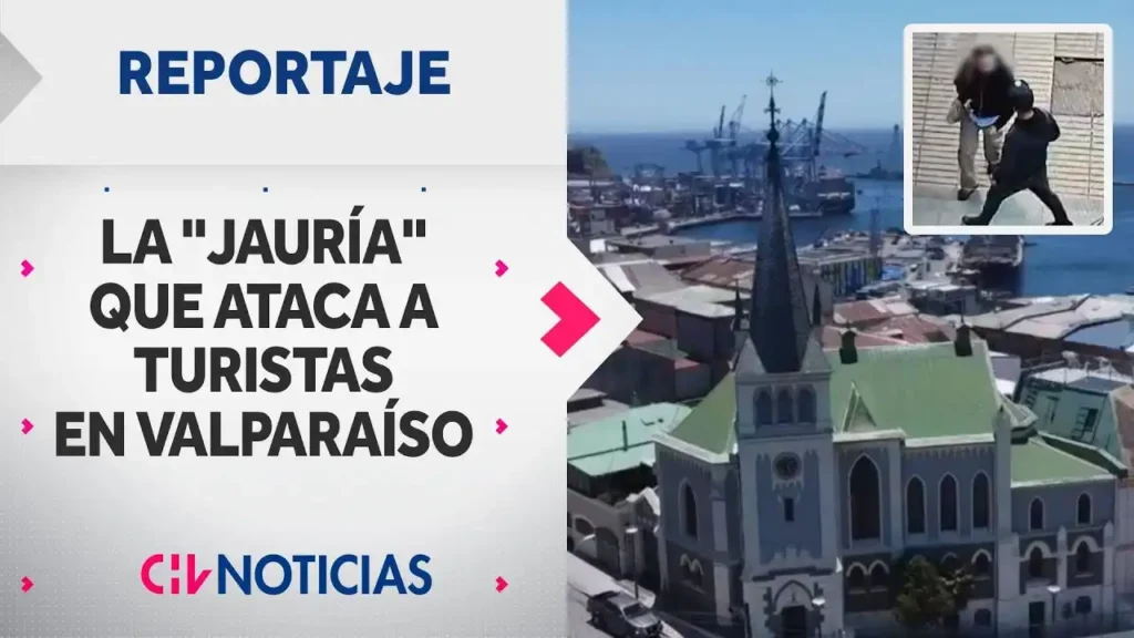 El Peligro de las Jaurías: Un Llamado a la Acción en Valparaíso