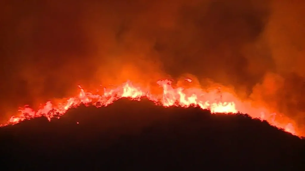 Alerta Roja en Zapallar: Evacuaciones y Combate a Incendios Forestales