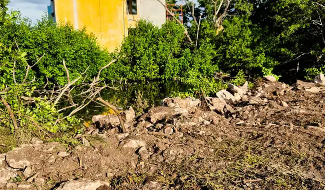 Clausura de Actividades en Yucatán: Protección del Ecosistema en Riesgo