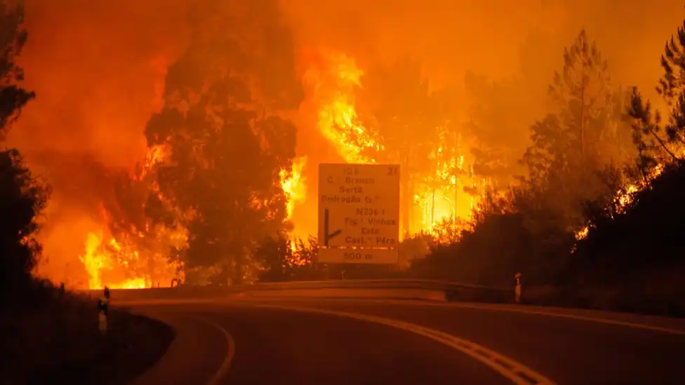 Desgarradora Historia de Pérdida en O’Higgins: Incendio Forestal Devasta Hogar Familiar