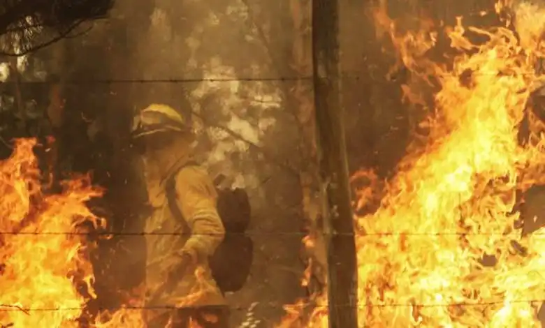 Incendios Forestales y Altas Temperaturas: La Emergencia en Chile