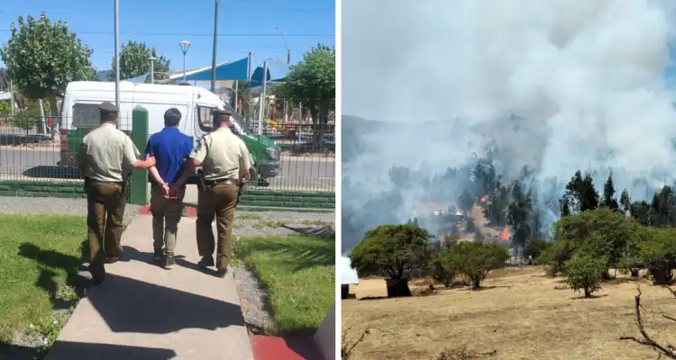 Incendios Forestales en O’Higgins: Detención de un Hombre por Provocar un Fuego