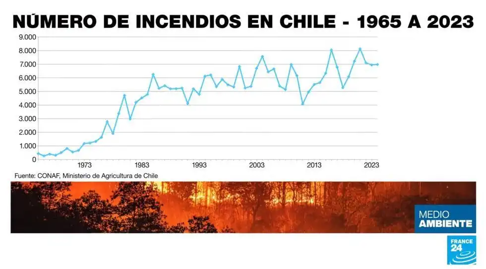 Incendios Forestales en Chile: Un Problema en Aumento