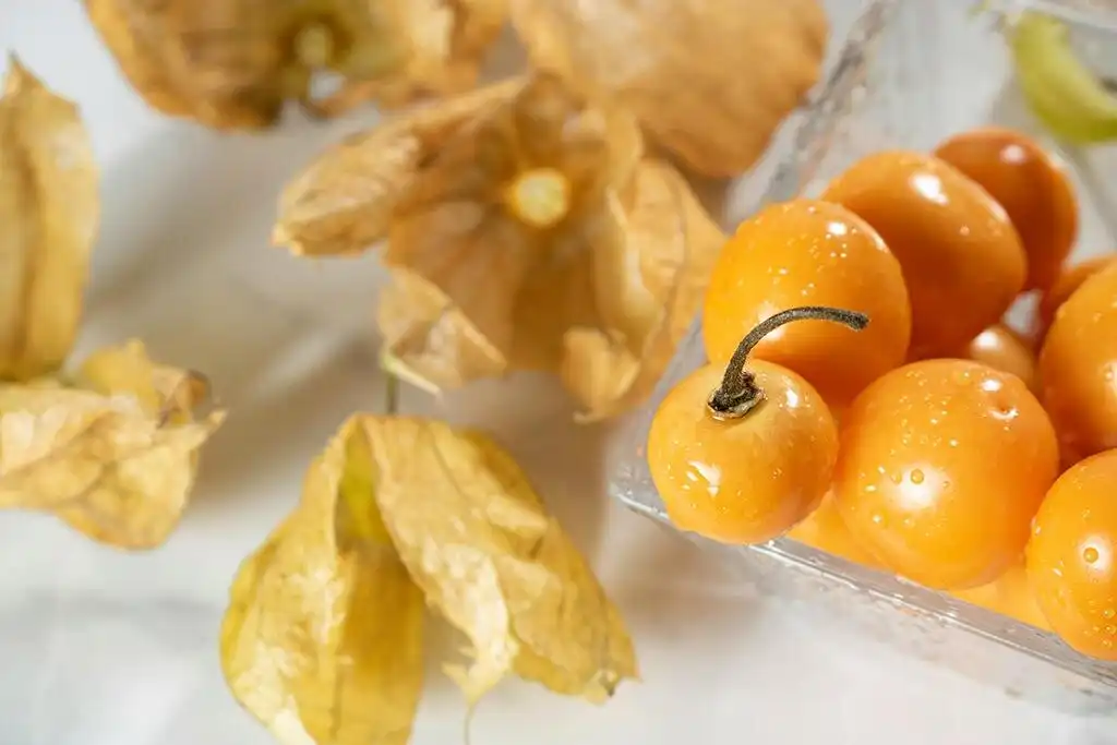 Descubriendo los Beneficios de la Golden Berry en la Salud Intestinal
