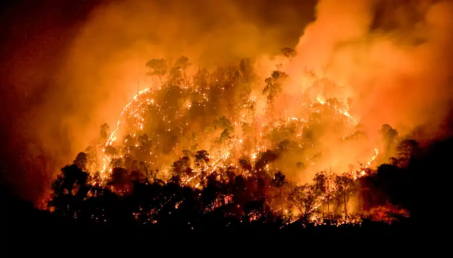 Incendios Forestales en Chile: Un Problema Creciente en la Región Metropolitana