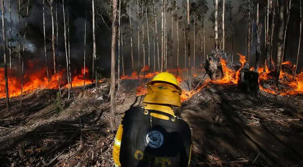 Iniciativa Innovadora para la Prevención de Incendios en Chile