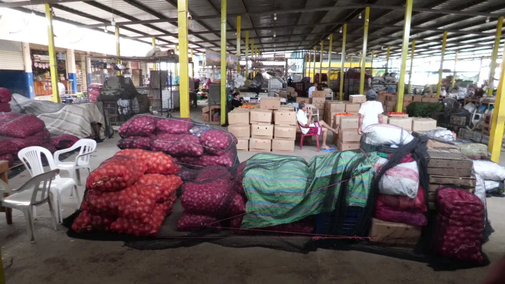 Impacto de la Eliminación del Subsidio al Diésel en Ecuador: Un Cambio Controversial
