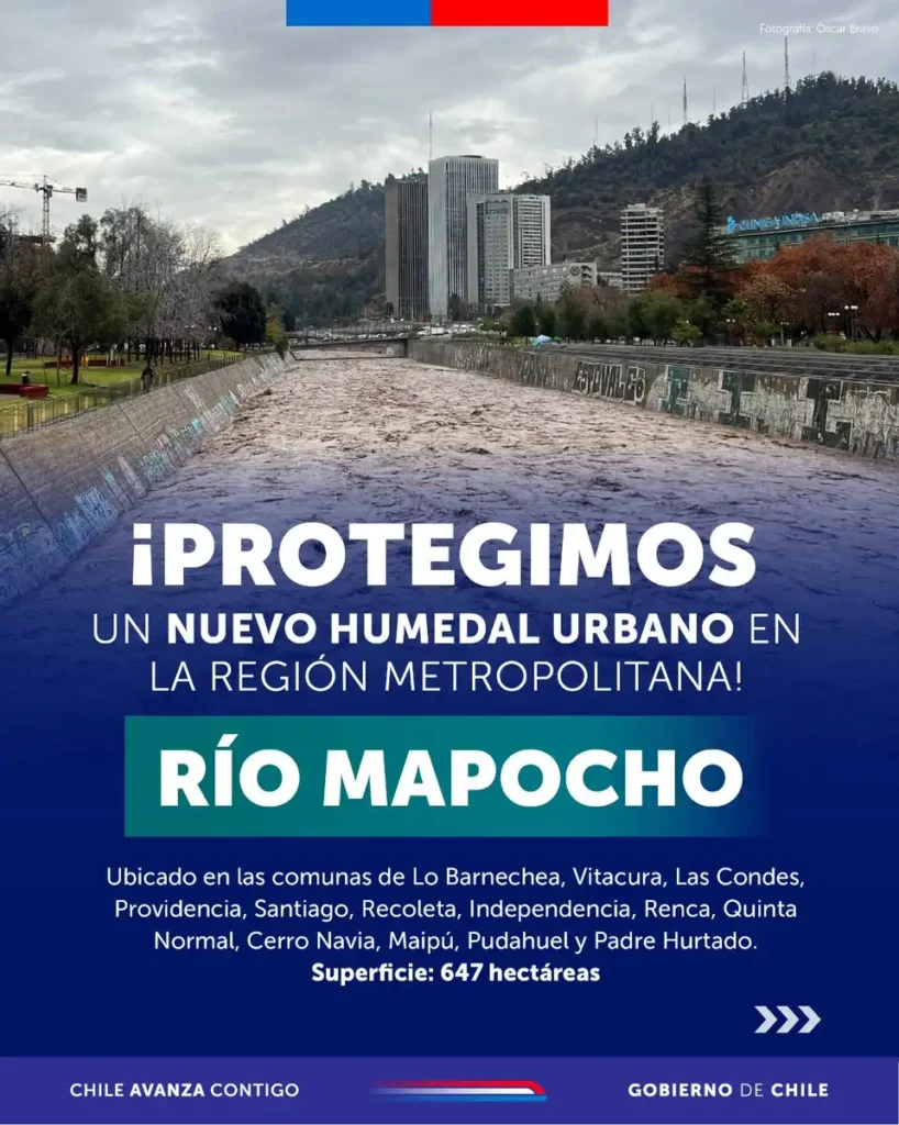 El Río Mapocho: Un Nuevo Humedal Urbano y su Importancia para Santiago