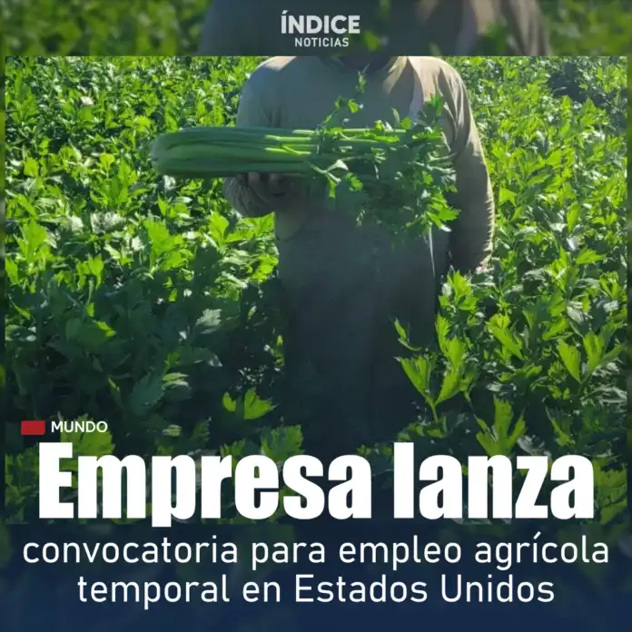 Oportunidad Laboral en Estados Unidos: Vacante para Jornalero Agrícola con Salario Atractivo