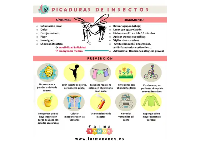 Precauciones y Síntomas de Picaduras de Abejas en Verano
