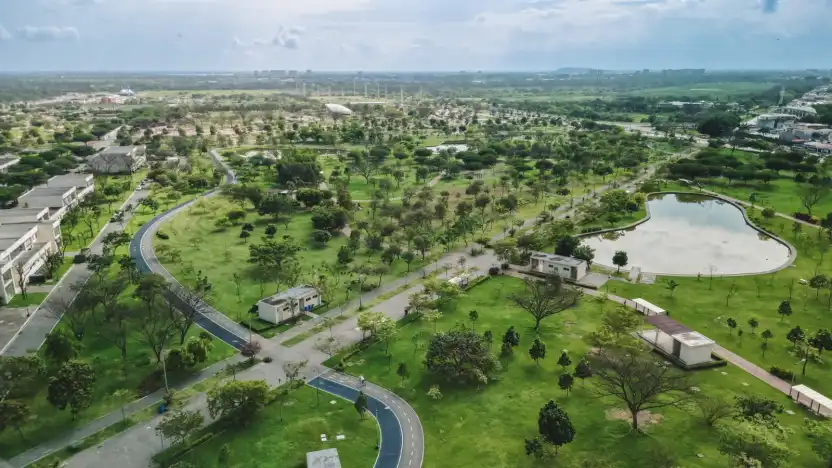 Intervención Ambiental en el Área Nacional Los Samanes: Un Proyecto Transformador para Guayaquil